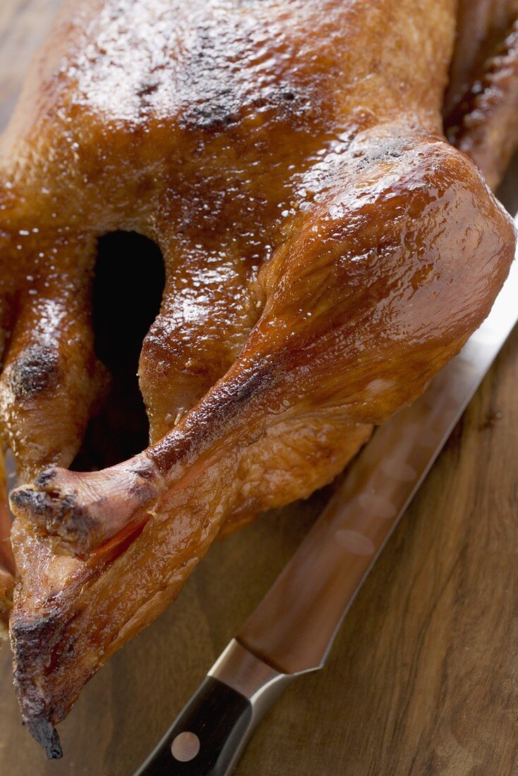 Roast duck (detail)