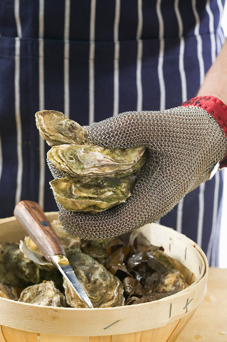 Fresh oysters