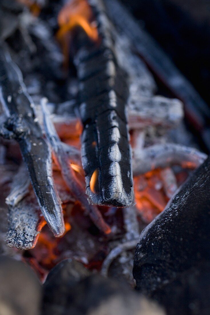 Camp-fire (close-up)
