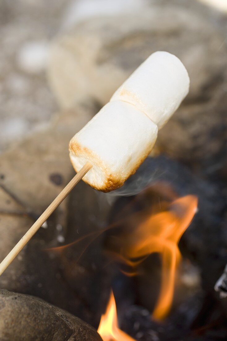 Marshmallows am Spiess über Lagerfeuer