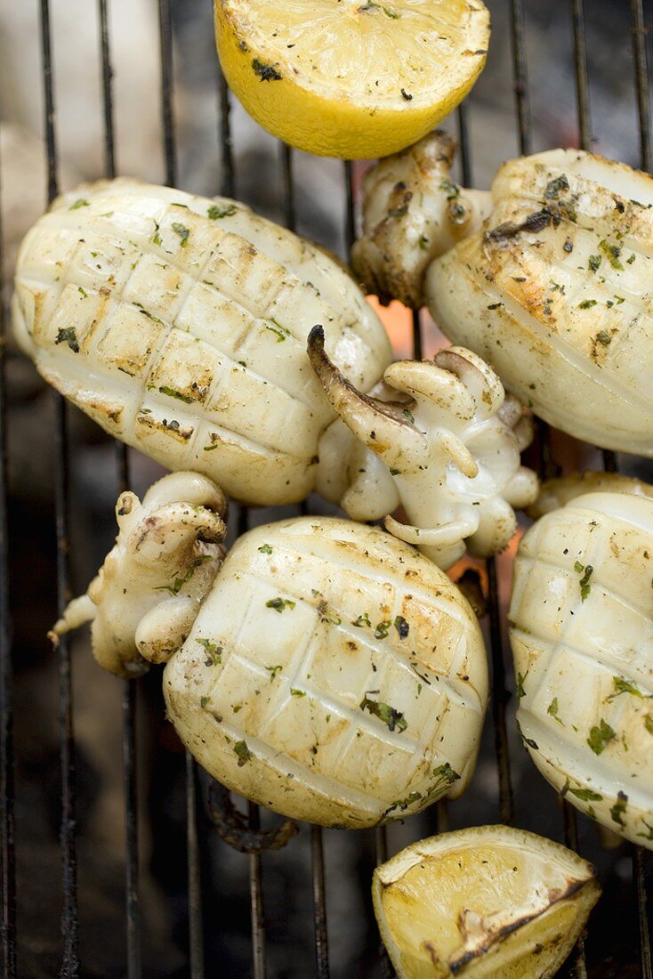 Cuttlefish on barbecue grill rack