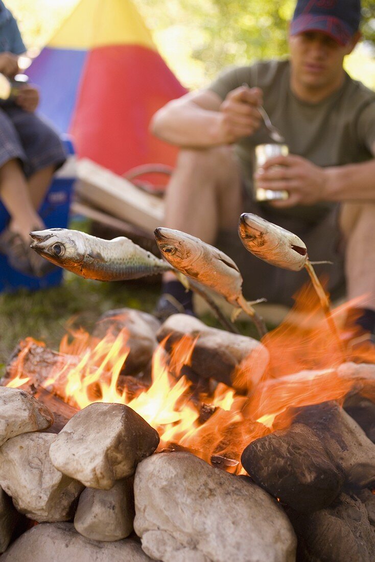 Father and son grilling fish over camp-fire