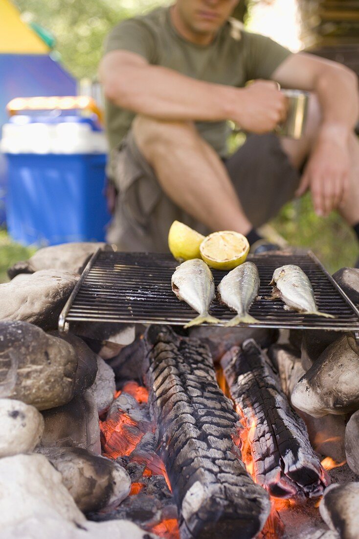 Mann grillt Fische auf Lagerfeuer
