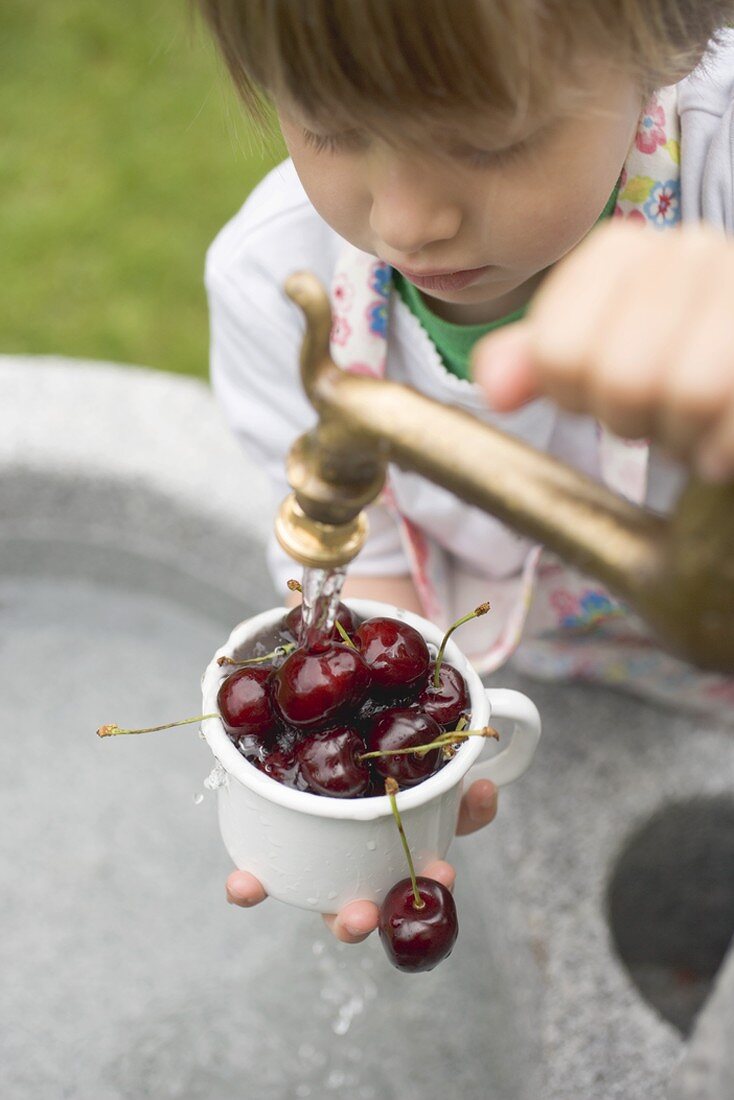 Child washing cherries under tap