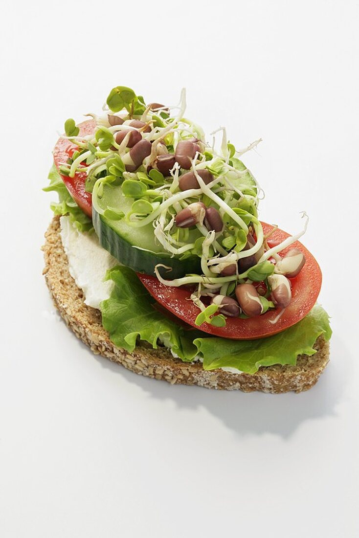 Wholemeal bread topped with vegetables, lettuce & sprouts