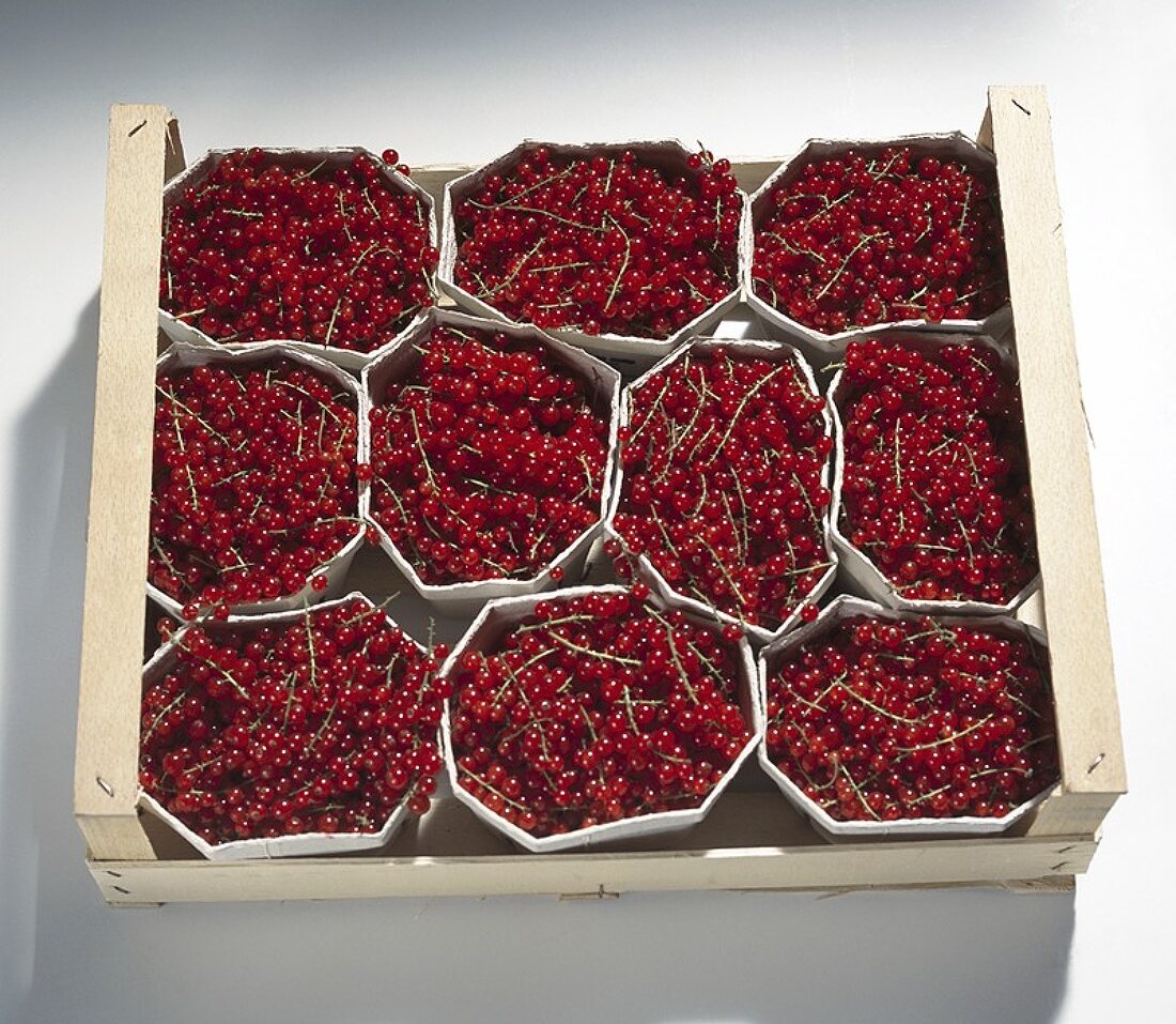 Fresh redcurrants in crate