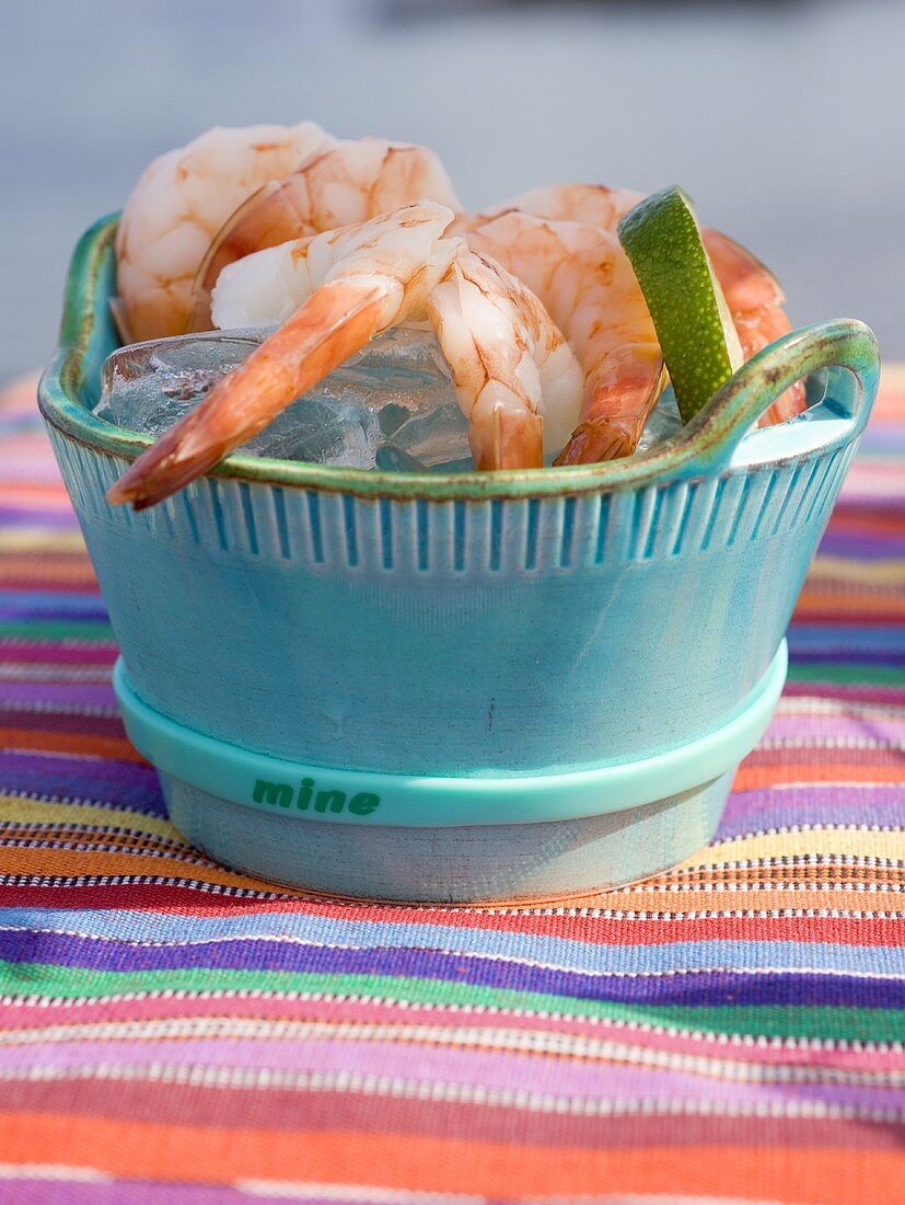 Cooked shrimps on ice cubes in blue dish