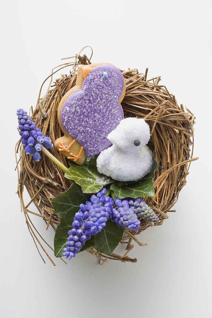 Easter biscuits (chicks) & grape hyacinths in Easter nest