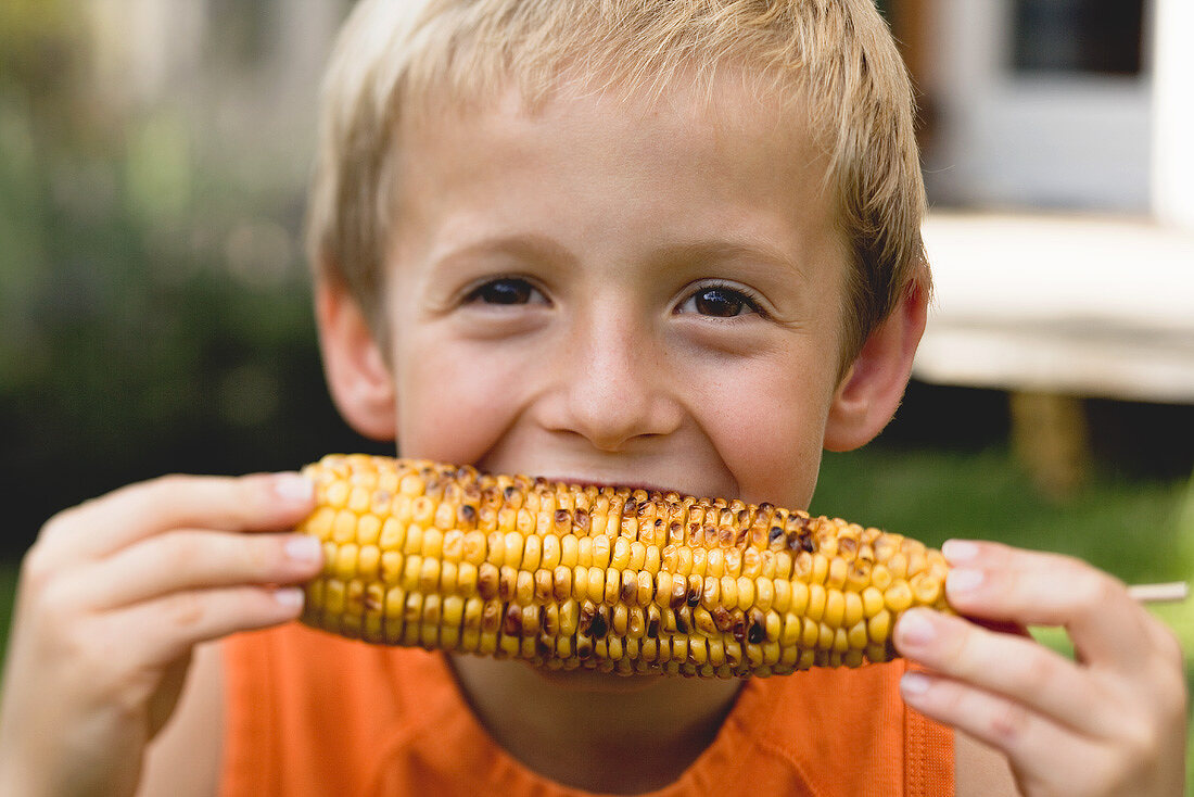 Small boy eating grilled corn on the cob
