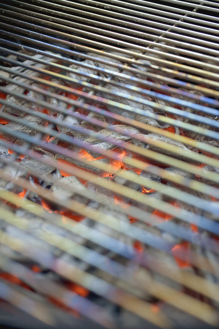 Charcoal barbecue (detail)