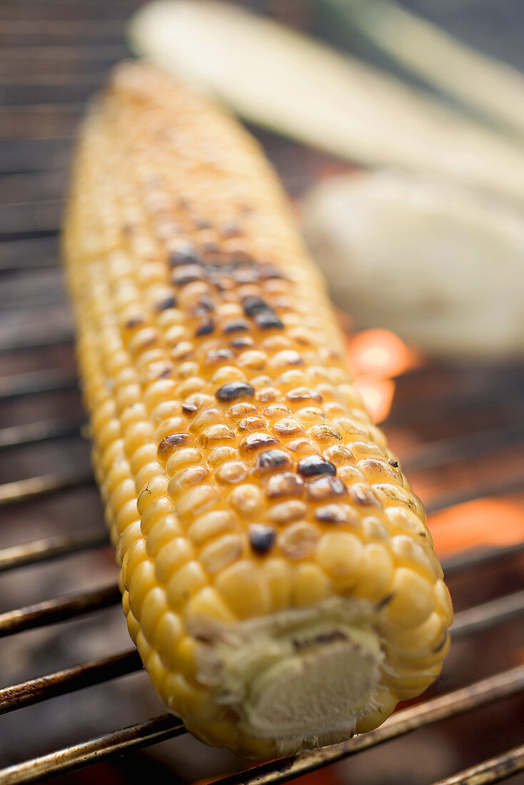 Maiskolben auf dem Grill