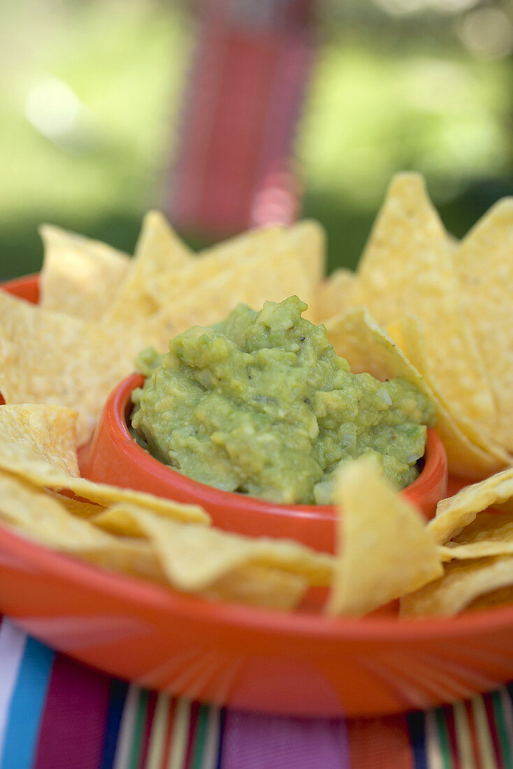 Guacamole mit Tortillachips