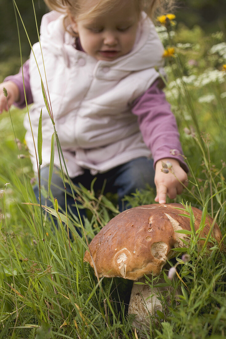 Small girl pointing to large cep in long grass