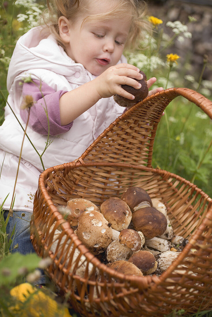Small girl putting a cep into a basket