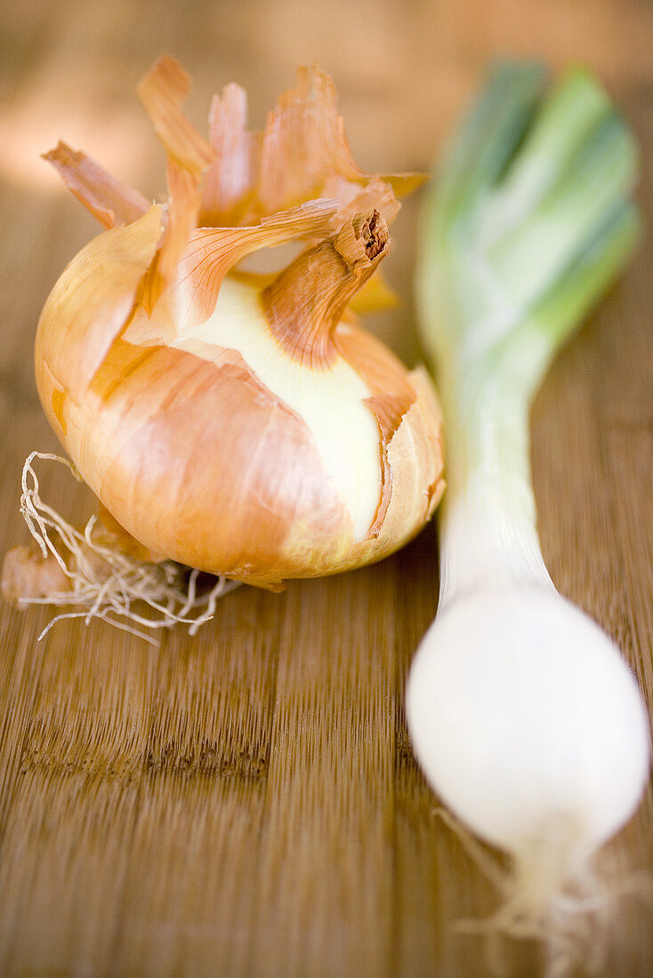 Onion and spring onion