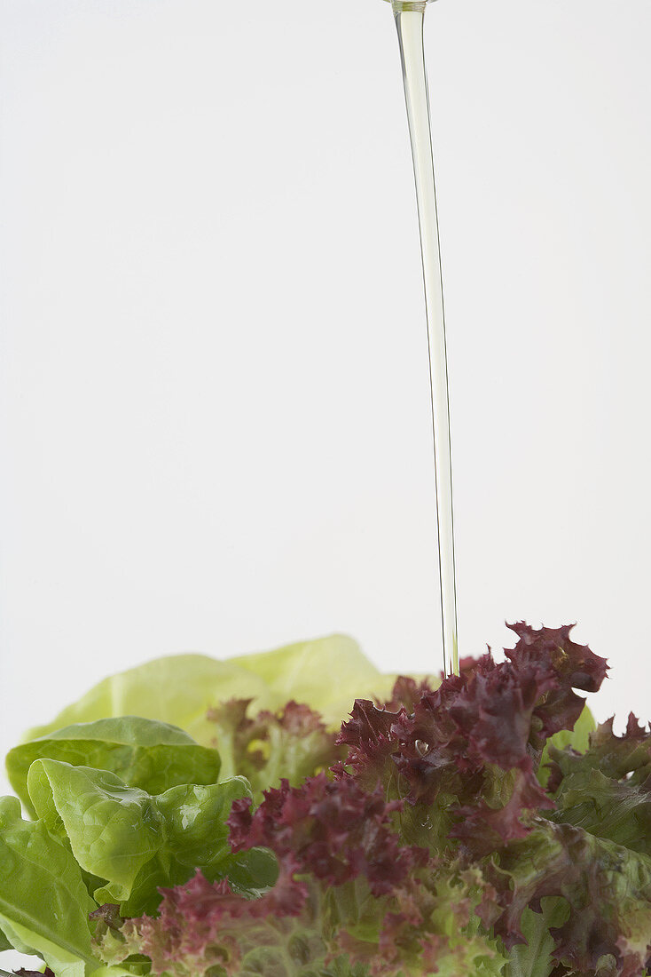 Pouring oil onto mixed salad leaves