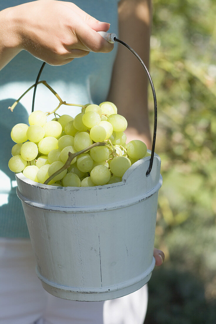 Woman holding green grapes in a wooden bucket