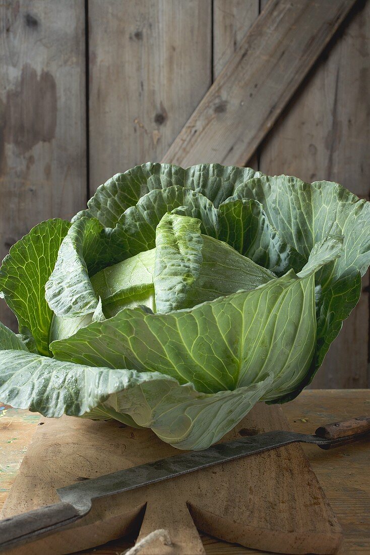 Cabbage on chopping board in front of wooden wall