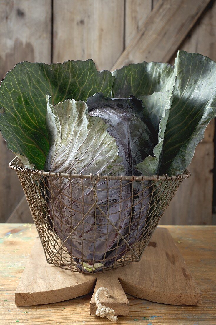 Rotkohl im Korb auf Schneidebrett vor Holzwand