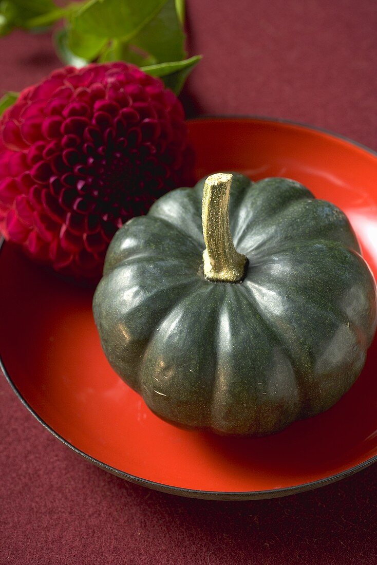 Green pumpkin on red plate
