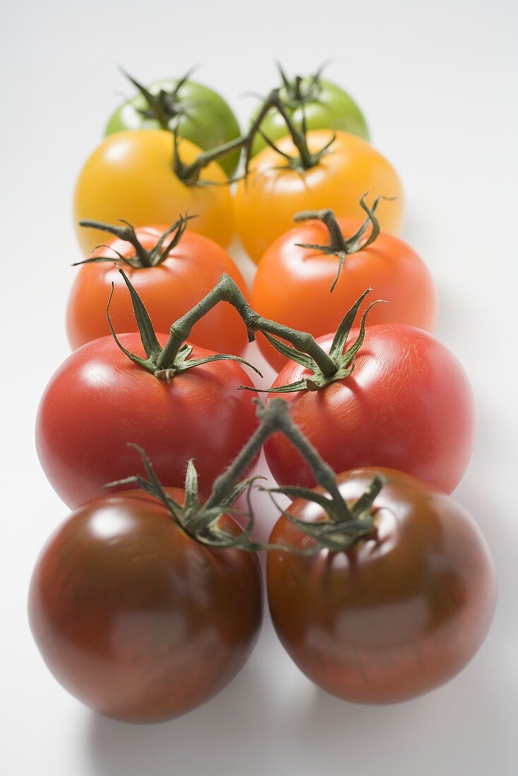 Kirschtomaten (verschiedene Farben)