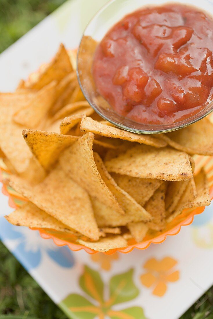 Nachos and tomato salsa (overhead view)