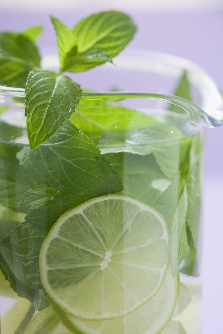 Mojito with lime and fresh mint