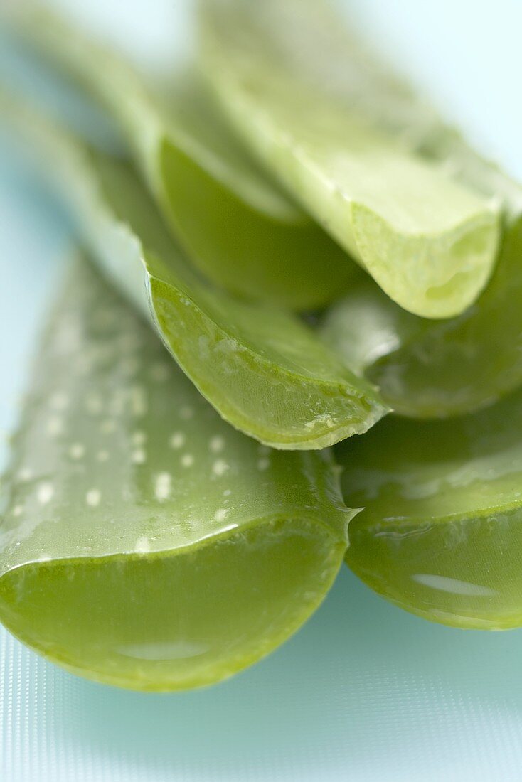 Aloe vera (close-up)