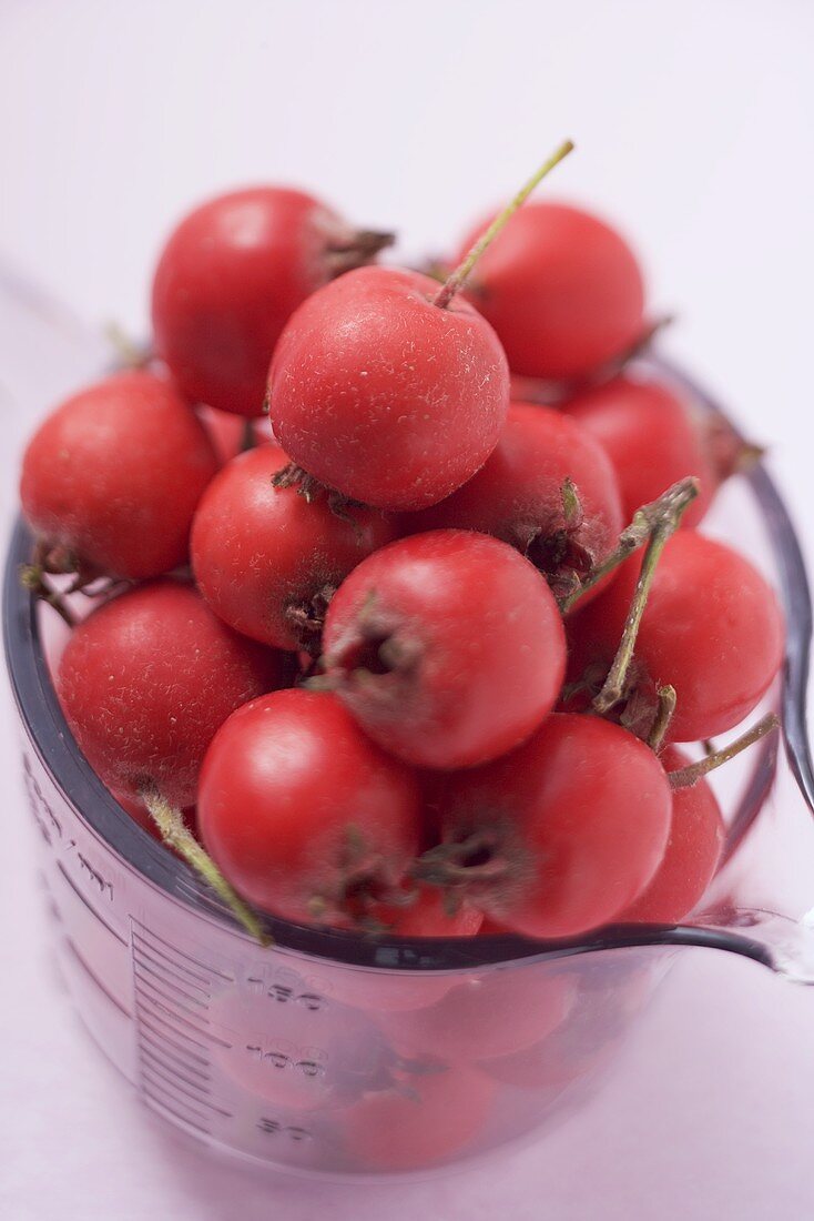 Rose hips in measuring jug