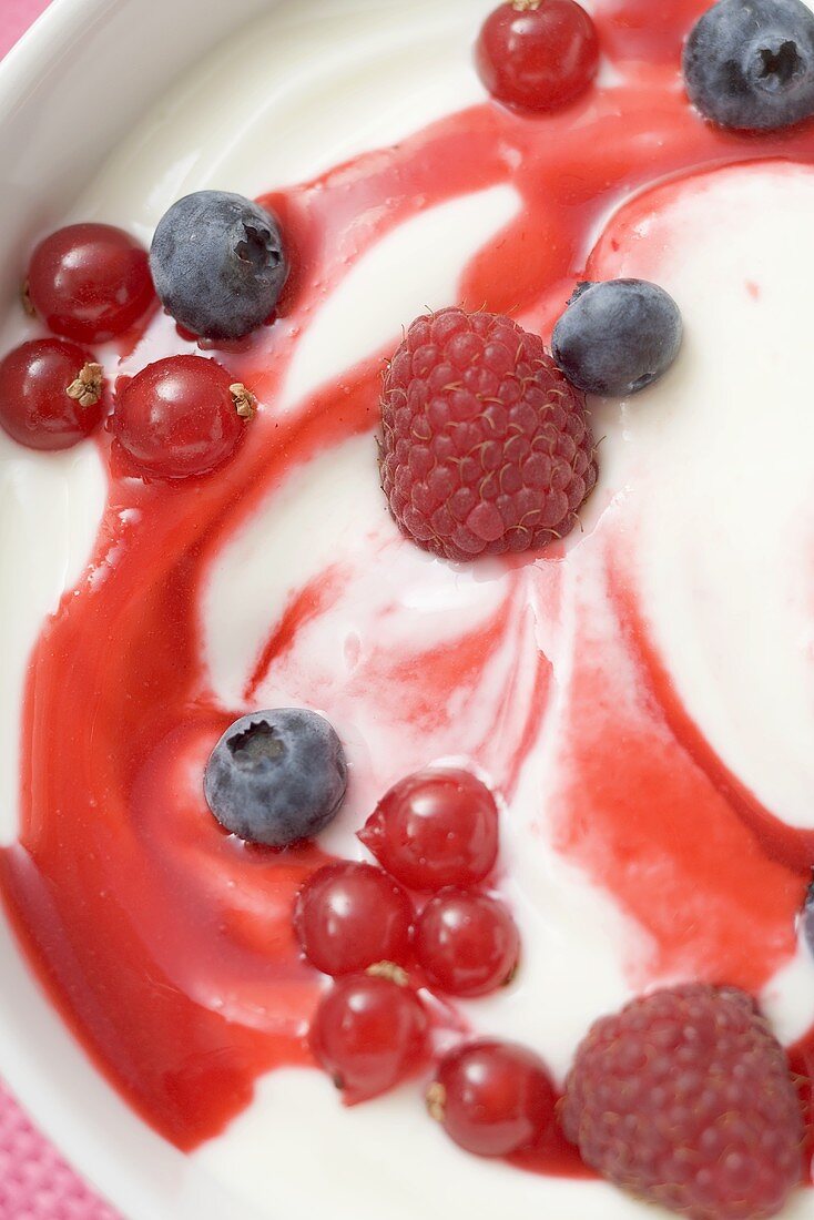 Joghurt mit frischen Beeren (Close Up)