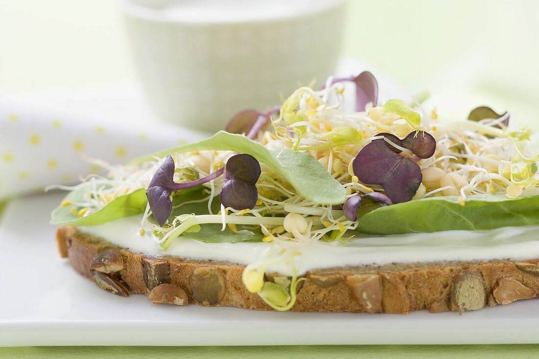 Belegtes Brot mit Joghurt, Sprossen und Kräutern