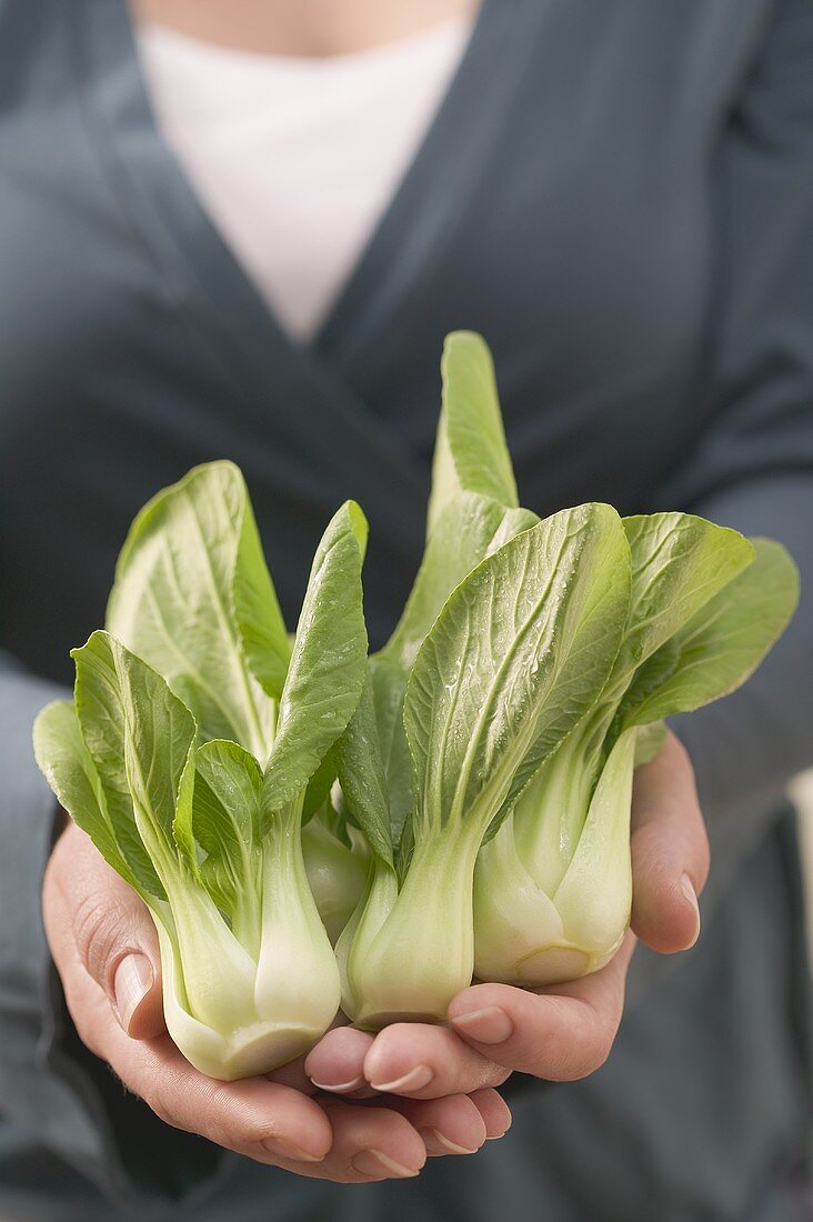 Woman holding fresh pak choi