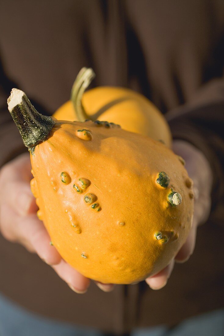 Person holding two squashes