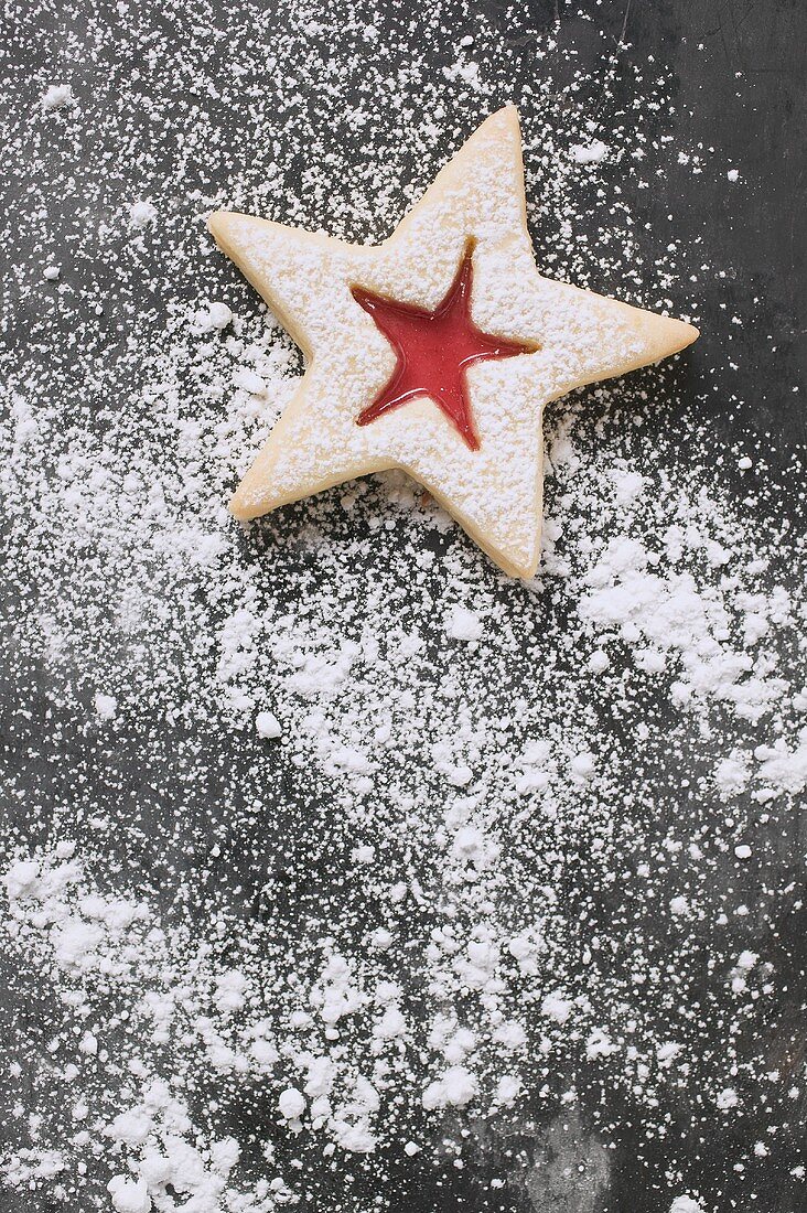 Jam biscuit with icing sugar