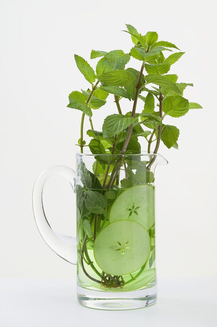 Mint sprigs and cucumber slices in jug of water