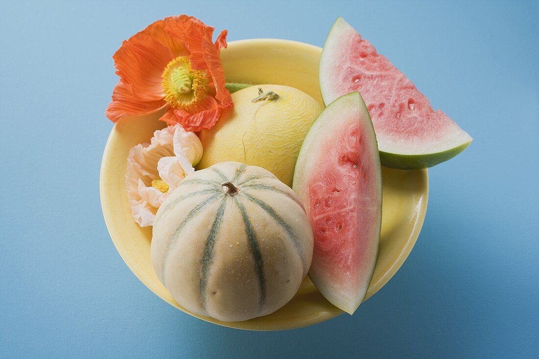 Drei verschiedene Melonen in Schale (Draufsicht)