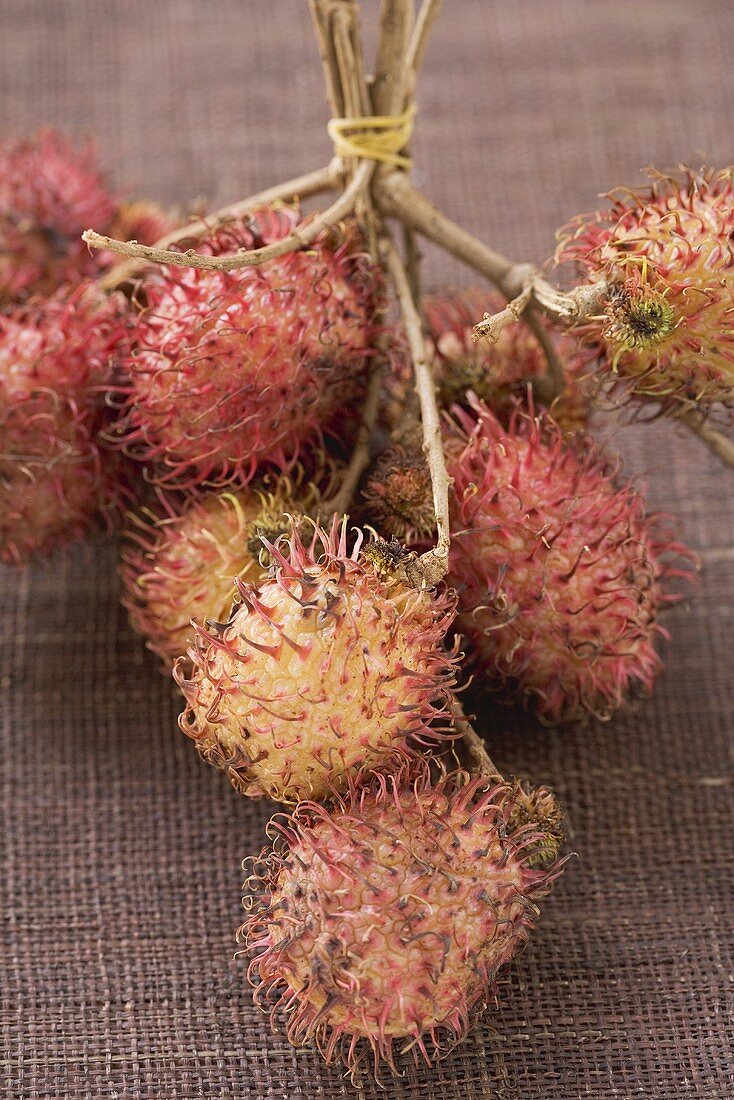 Rambutans on stalks