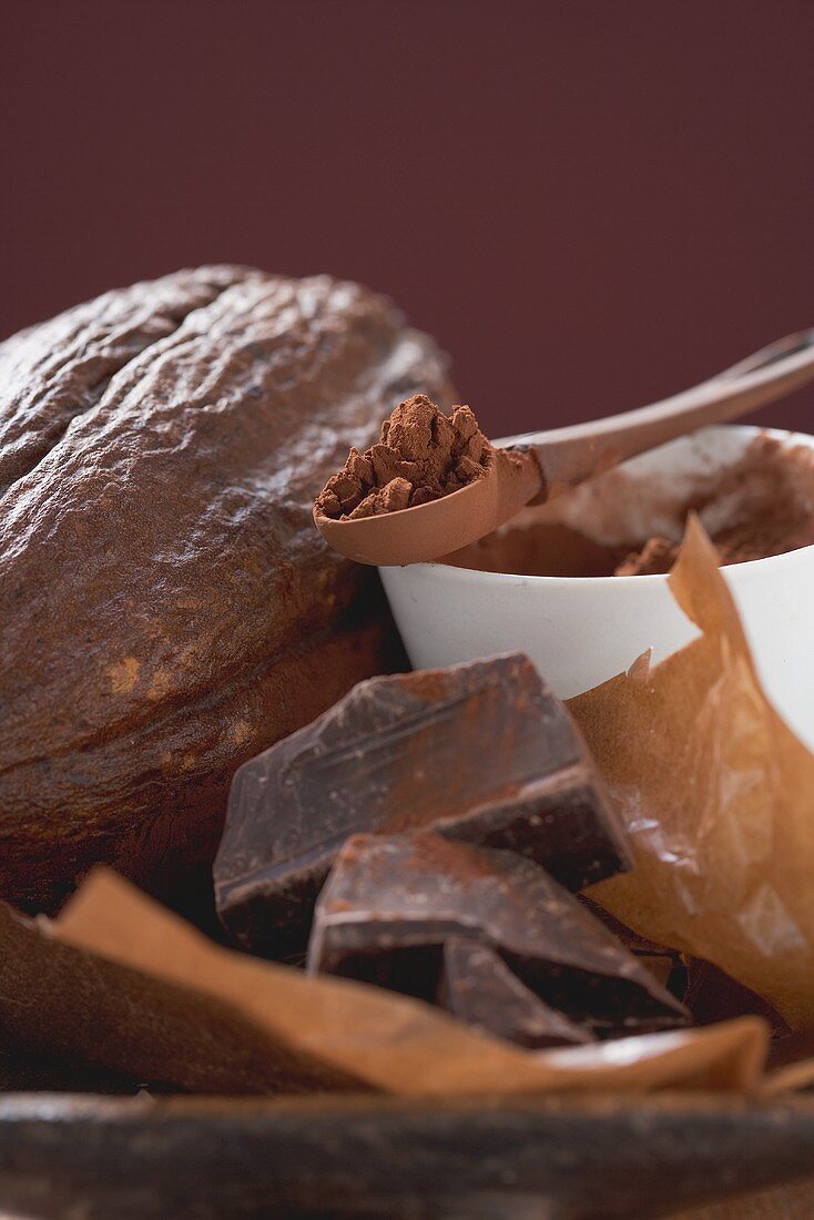 Kakaofrucht, Kakaopulver und Schokolade