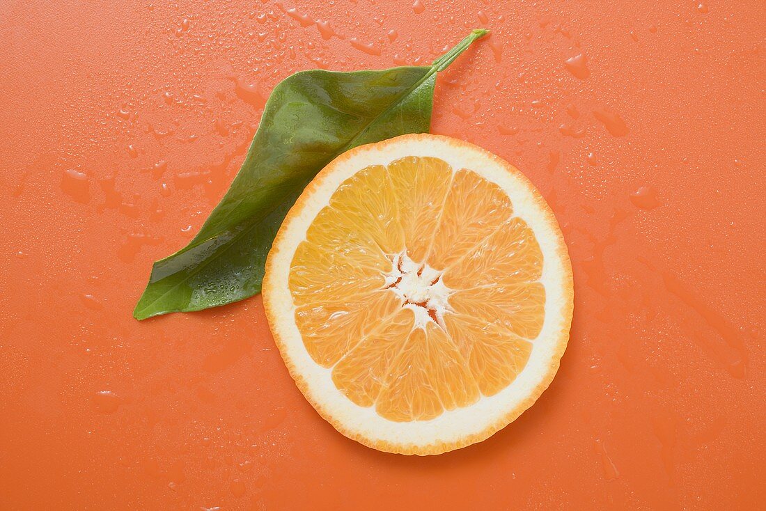 Slice of orange and leaf with drops of water