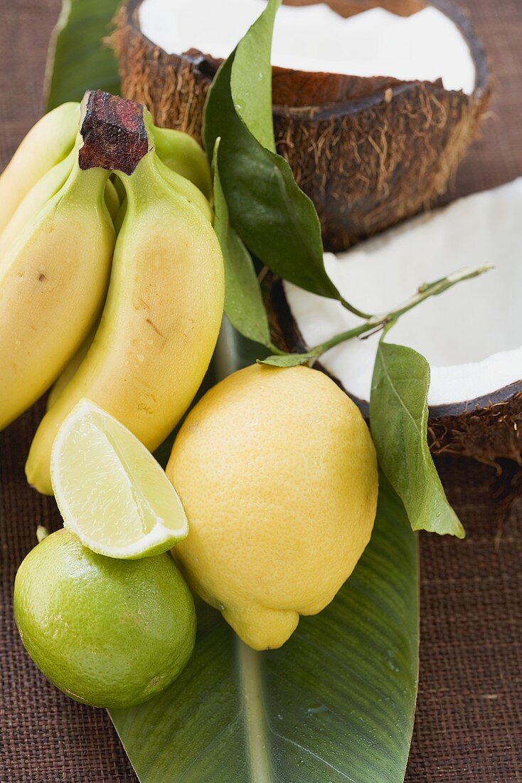 Zitrone, Limetten, Bananen und Kokosnuss