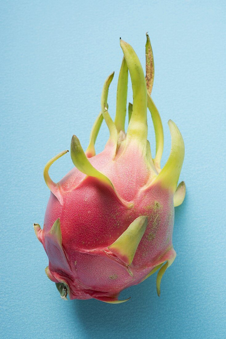 Eine Pitahaya auf blauem Untergrund