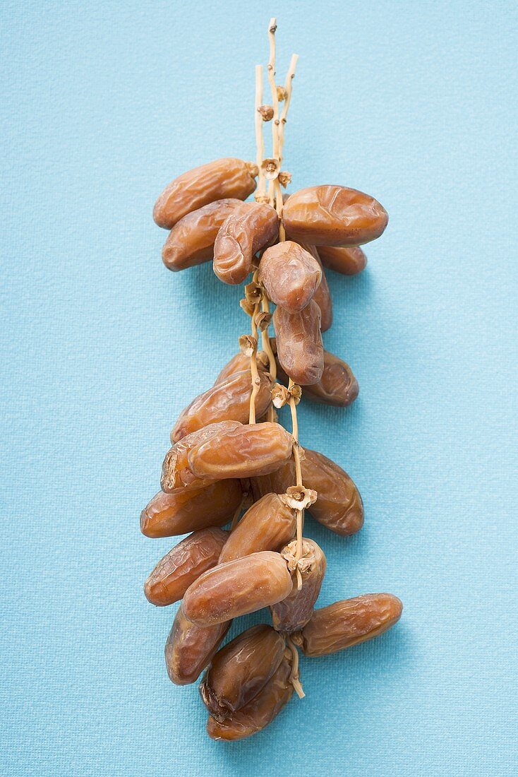 Dates on the stalk