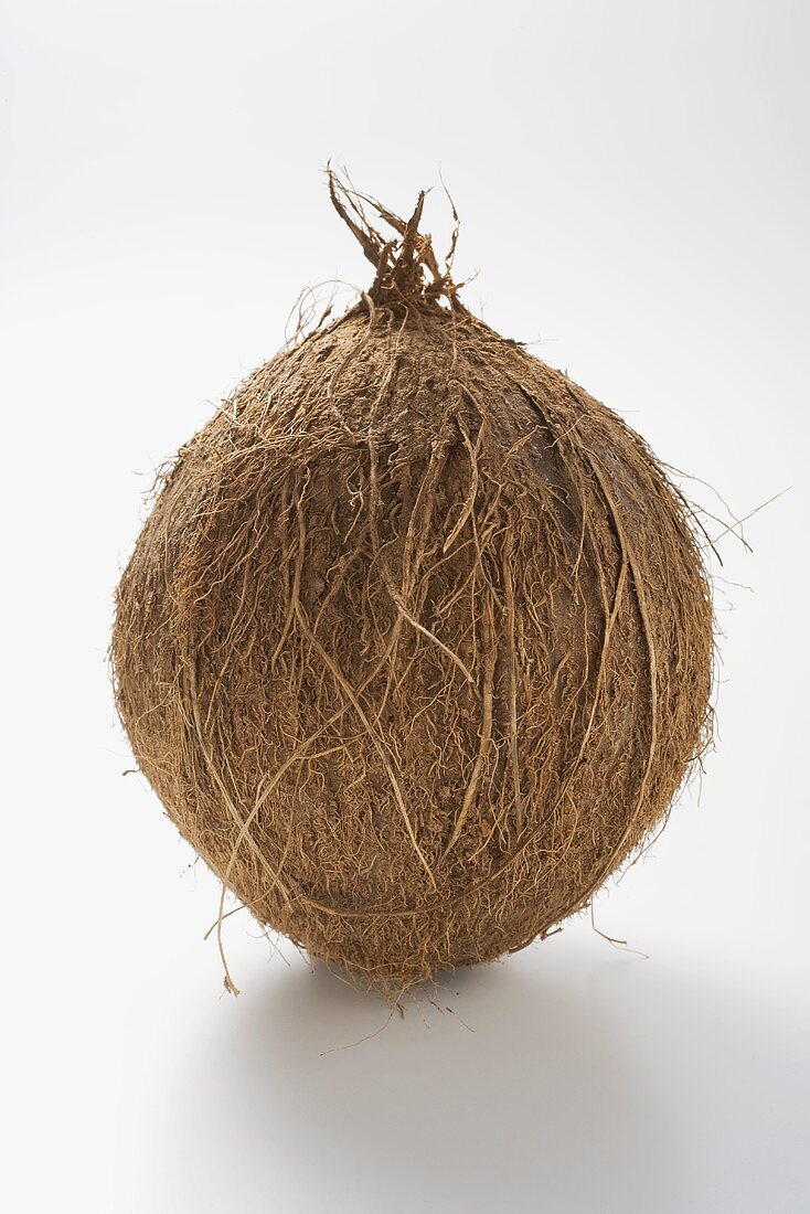 A coconut