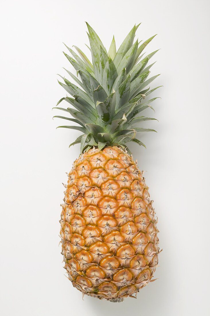 A pineapple