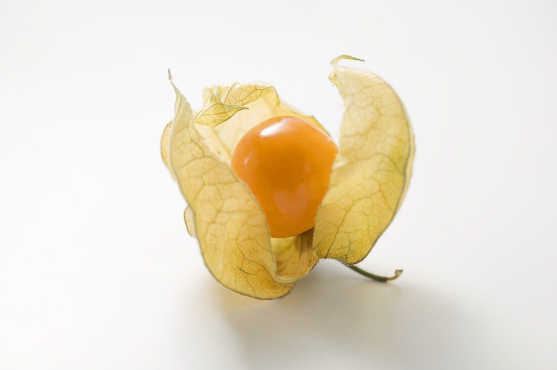 Physalis with husk