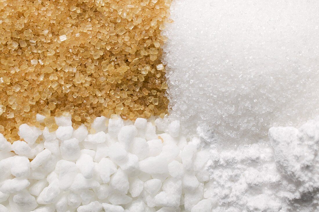 Four different types of sugar (full-frame)
