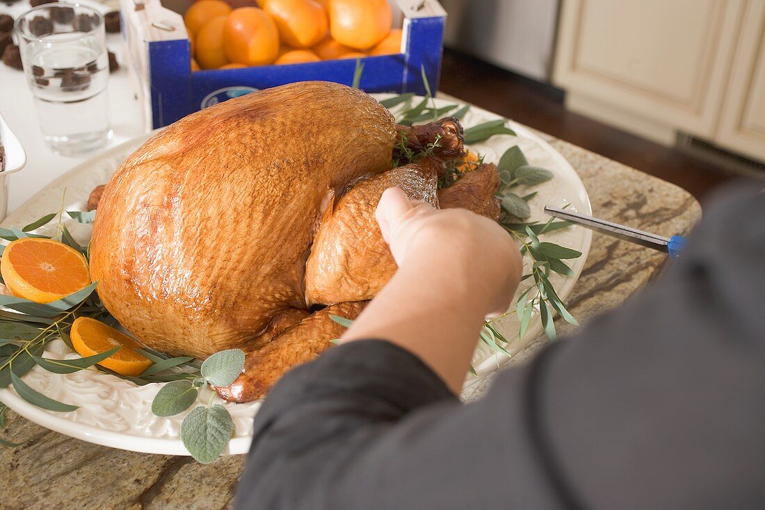 Garnishing roast turkey on platter