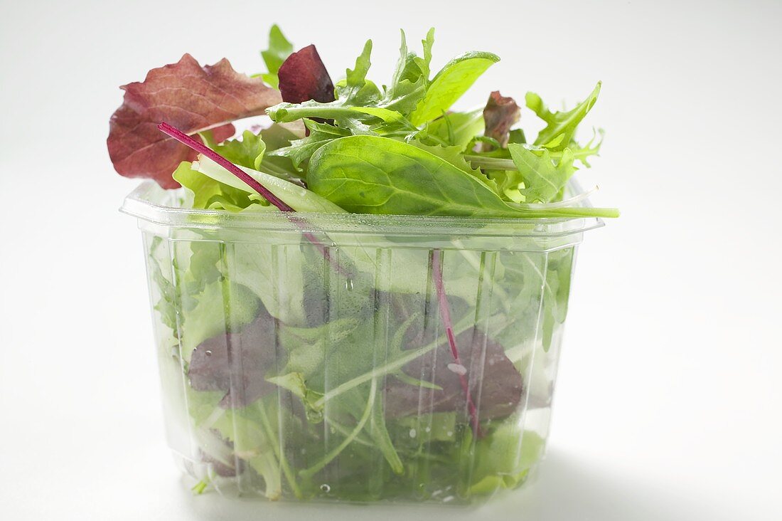 Mixed salad leaves in plastic container