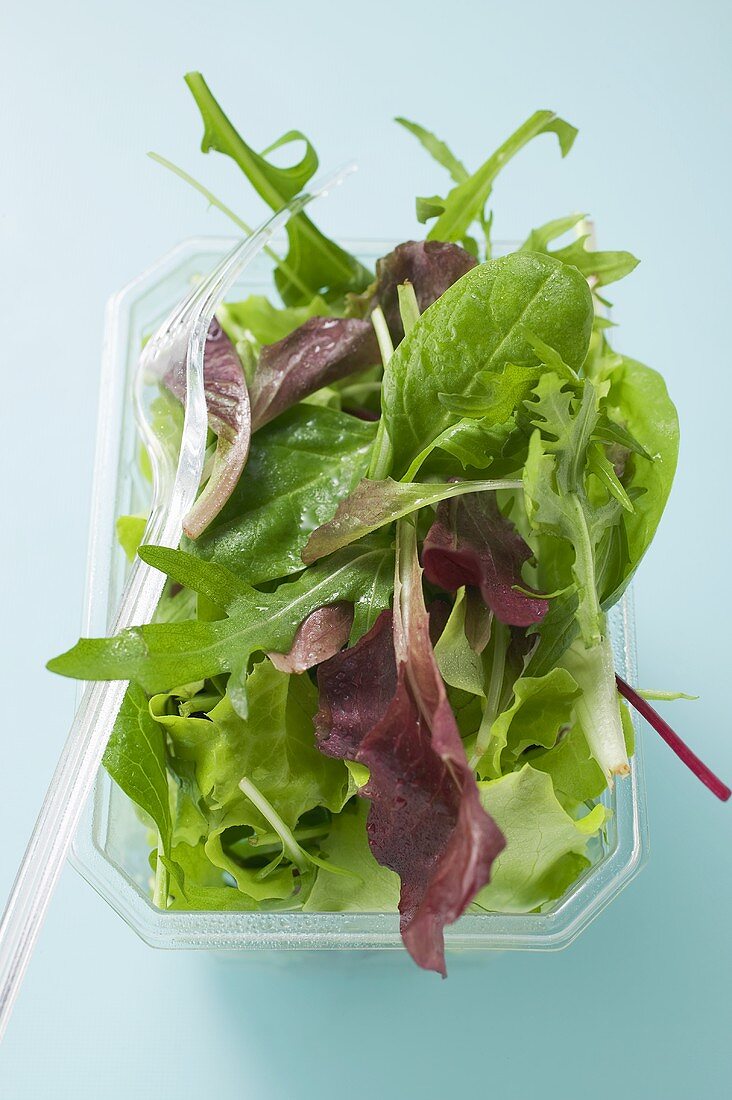 Gemischter Blattsalat in Plastikschale mit Gabel
