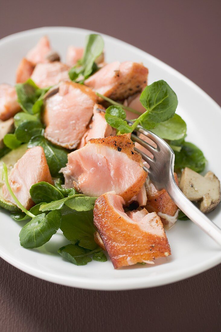 Blattsalat mit gebratenem Lachs und Champignons